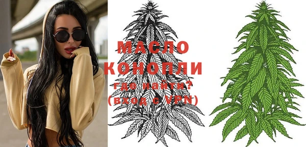 индика Бронницы