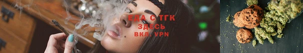 индика Бронницы