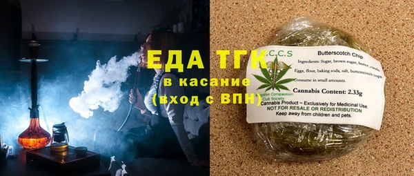 индика Бронницы