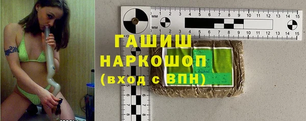 индика Бронницы