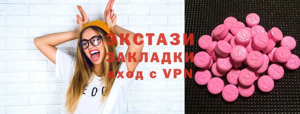 индика Бронницы