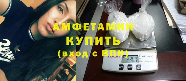 индика Бронницы