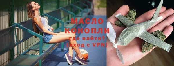 индика Бронницы