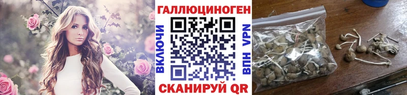 Псилоцибиновые грибы GOLDEN TEACHER  Константиновск 